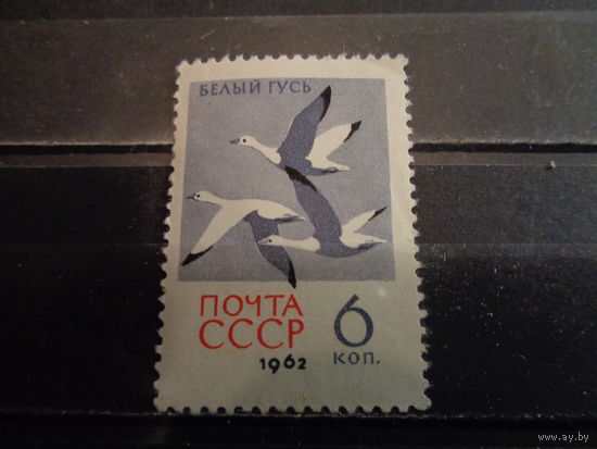 СССР 1962 Белый гусь