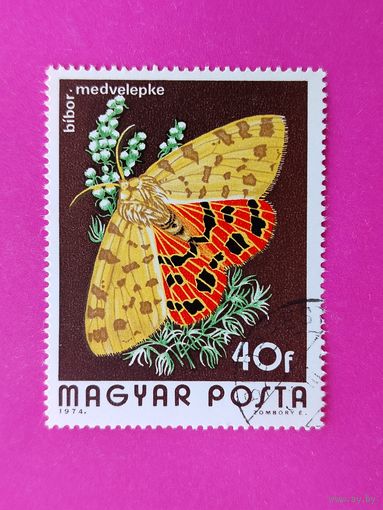 Венгрия. Бабочка. ( 1 марка ) 1974 года. 3-6.