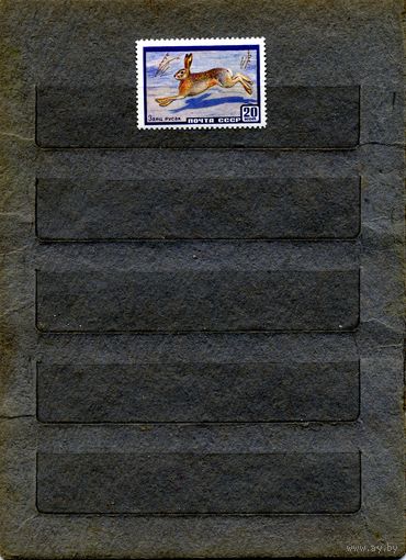 СССР, 1960, ЗАЯЦ-РУСАК, серия 1м, чистая**  С ПОЛЯМИ  УГЛОВОЙ !!! левый нижний