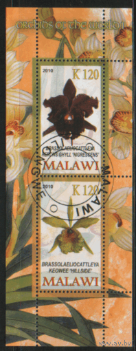 Малави. БЛОК. 2010. Орхидеи. ГаШ.