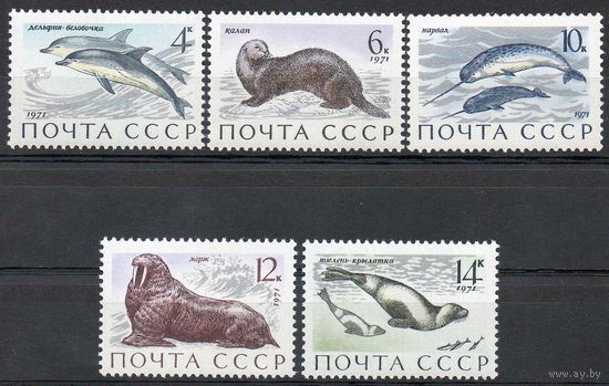 Морские млекопитающие СССР 1971 год (4037-4041) серия из 5 марок