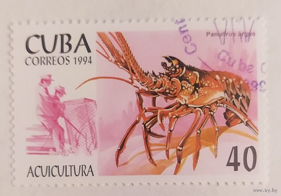 Куба 1994, рак