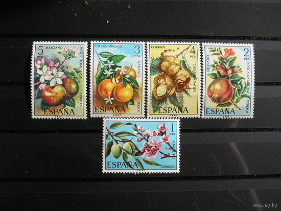 Испания Флора Фрукты 1975 (3)