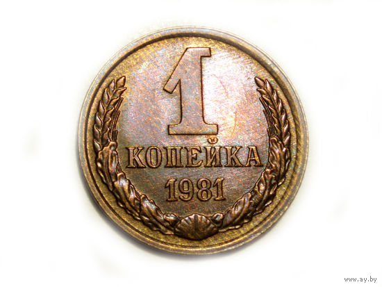 1 копейка 1981 UNC #X - Ости короткие