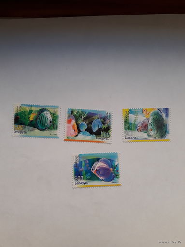 Марки Беларусь 2006 рыбы