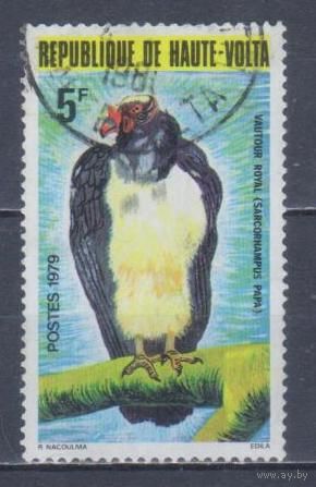 [277] Верхняя Вольта 1979. Фауна.Птицы.Гриф. Гашеная марка.