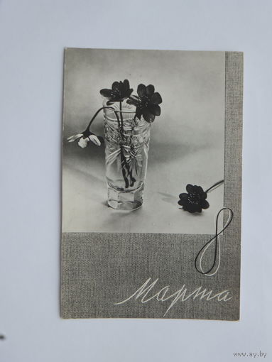 Наровлянский 8 марта  9х14 см 1969