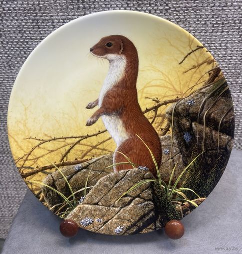 Декоративная настенная фарфоровая тарелка Royal Doulton Горностай начеку. Англия. 1990 год. 20.5 см