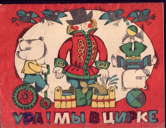 Ура! Мы в цирке