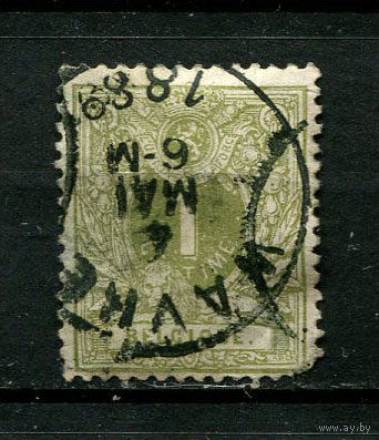 Бельгия - 1884 - Цифры 1С - (есть тонкое место) - [Mi.39] - 1 марка. Гашеная.  (Лот 25BU)