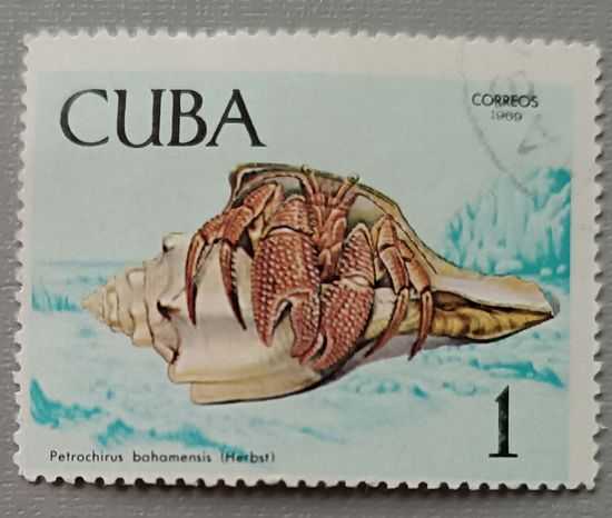 Куба, 1969. Краб