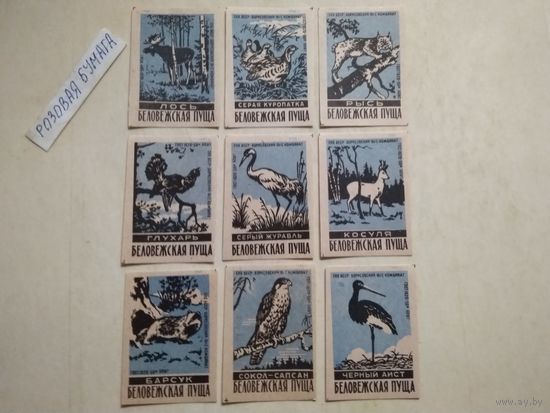 Спичечные этикетки ф.Борисов. Беловежская пуща . 1960 год
