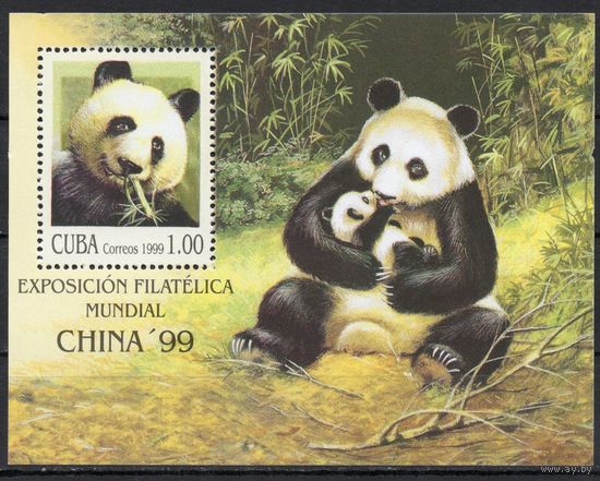 Куба 1999. Фауна панда. Блок (4199)