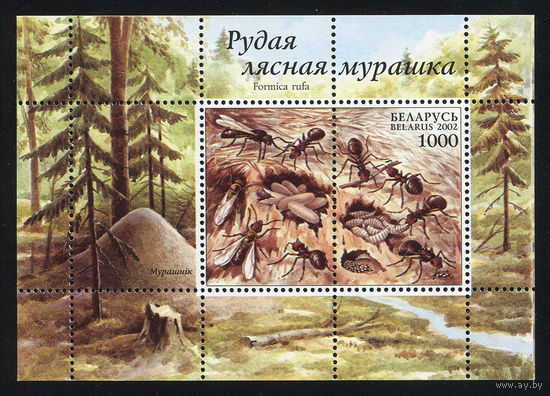 2002_Муравьи.