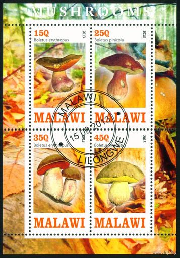 Грибы Малави 2013 год квартблок