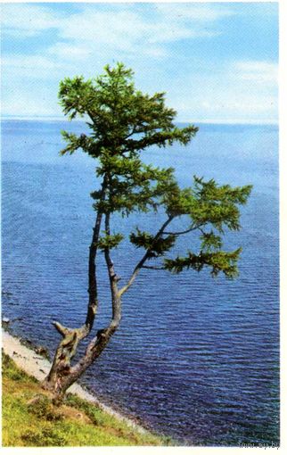 Календарик карманный Авиация Аэрофлот 1977