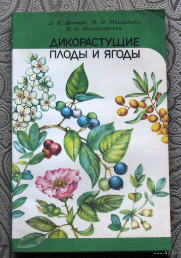 Дикорастущие плоды и ягоды.