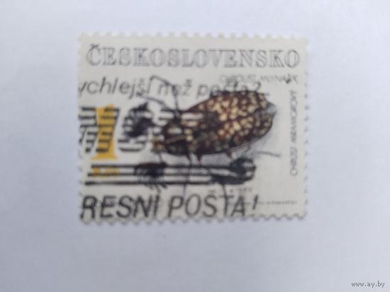 ЧССР  1992 жук