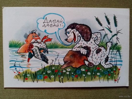 Орлов Шварц 1968 Натаска