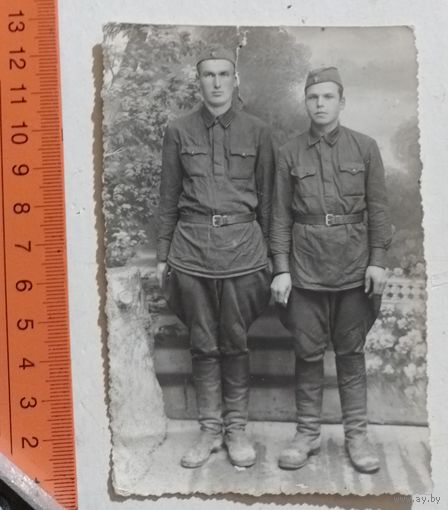 Фото в коллекцию