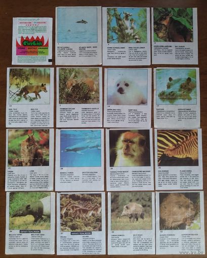 Вкладыши от жвачки Cin Cin Звери Животные Цена за лот 31шт + обертка