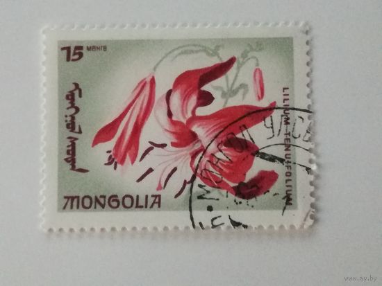 Монголия 1966. Цветы