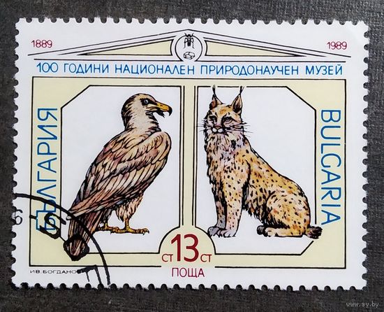 Марка Болгария 1989 год 100 лет Национальному музею природы