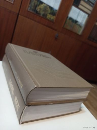 Памяць. Гист.-дакум. хроника Вицебска.  У 2-х книгах.
