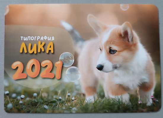 Собака. Календарик, 2021
