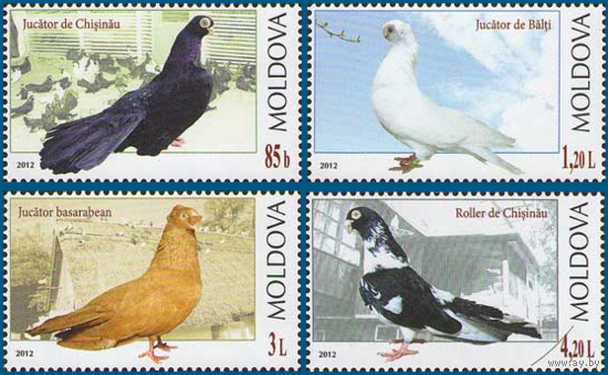 Молдова 2012.  Птицы  голуби 4 марки (456)