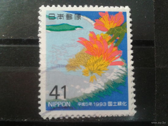 Япония, 1993. Цветы кораллового дерева
