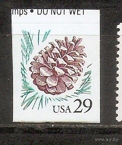 КГ США 1993 Шишка