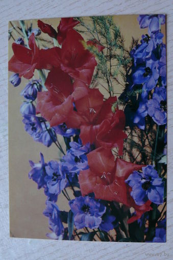 Самсоненко Н., Композиция из цветов, 1982, чистая.