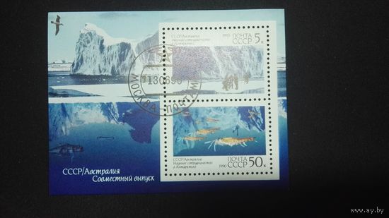 Блок СССР 1990. Научное сотрудничество в Антарктиде.