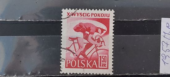 РАСПРОДАЖА ПОЛЬША 1957г. Полная серия. Гаш.