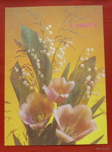 8 марта! Чистая. 1990 года. Дергилева. *99.