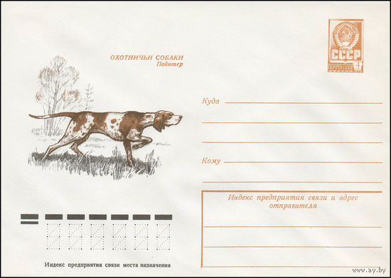 Художественный маркированный конверт СССР N 12961 (24.07.1978) Охотничьи собаки  Пойнтер