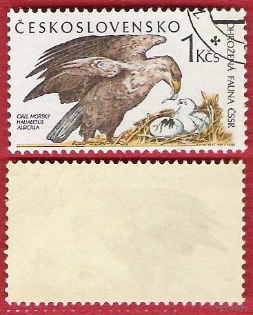 Чехословакия 1989 Морской орел