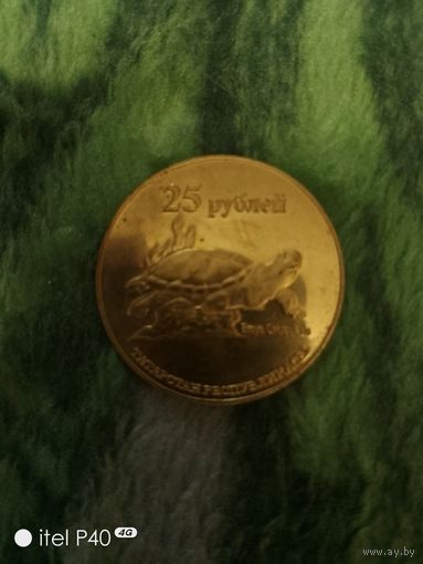 25 рублей, Татарстан,черепаха