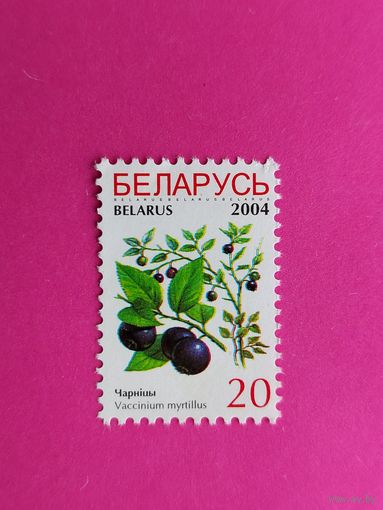 Беларусь. Стандарт. ( 1 марка ) 2004 года. 4-8.