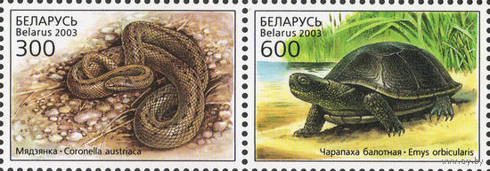 Рептилии Беларусь 2003 год (503-504) серия из 2-х марок в сцепке