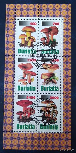 BURIATIA 1997 Грибы