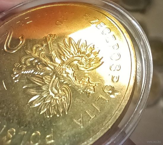 2 злотых 2012 год,  БРАК  " Чемпионат Европы по футболу 2012 "