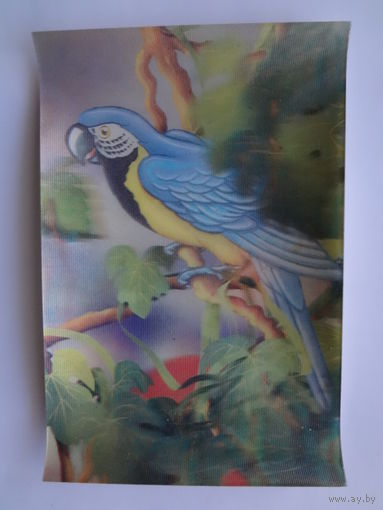 Календарик 1991 г. Умный попугай. (стерео).