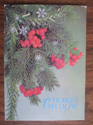 Почтовая карточка.1987г