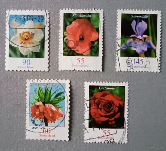 Цветы. Стандарты. Германия.