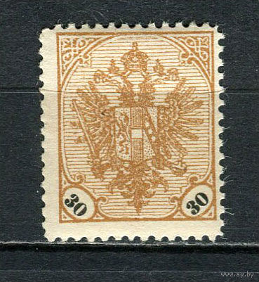 Босния и Герцеговина (Австро-венгерская администрация) - 1901/1905 - Герб 30H - [Mi.25] - 1 марка. MH.  (Лот 29HS)-TG3P11
