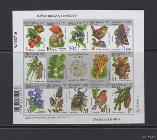 Беларусь 2025  малый лист "Дикая природа Беларуси" самоклейка без подрезки