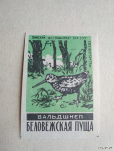 Спичечные этикетки ф.Пинск. Беловежская пуща