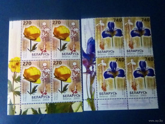 Беларусь 2003 квартблоки угол цветы